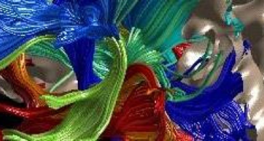 Human body part with colors to note different structures