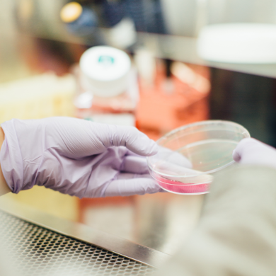 lab petri dish