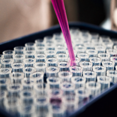 Pipetting in a PCR Plate