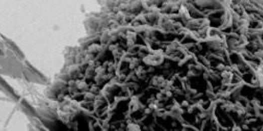 E. L. Ginzton Laboratory