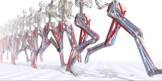 Wu Tsai Human Performance Alliance